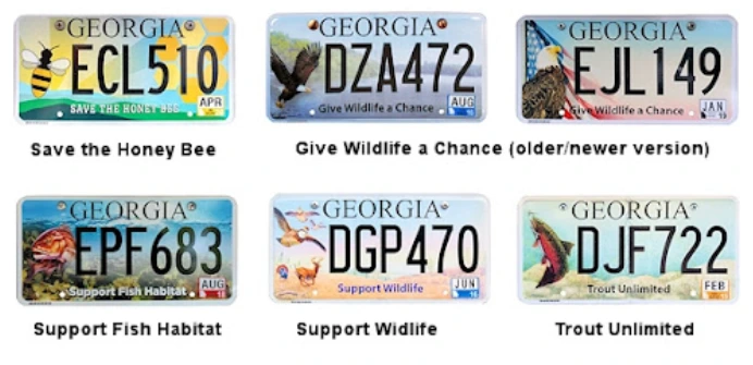 Ejemplos de Tipos de placas en Georgia Algunos Ejemplos de Tipos de placas en Georgia