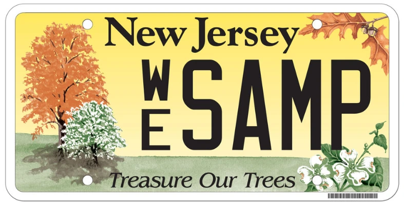 tipos de placas de matriculas especiales en Nueva Jersey Cuales son los tipos de placas de matriculas especiales en Nueva Jersey